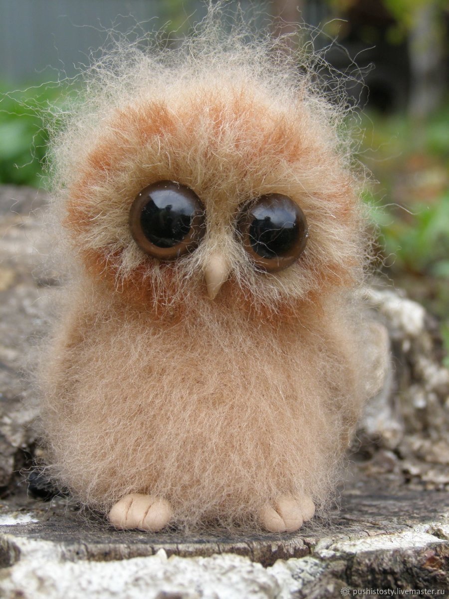 Лохматая сова