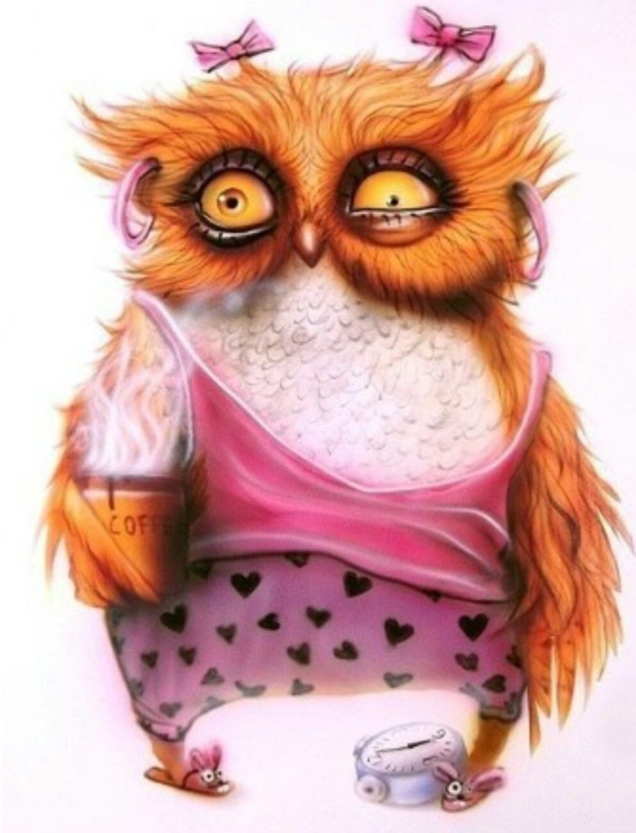 Сумасшедшая Сова