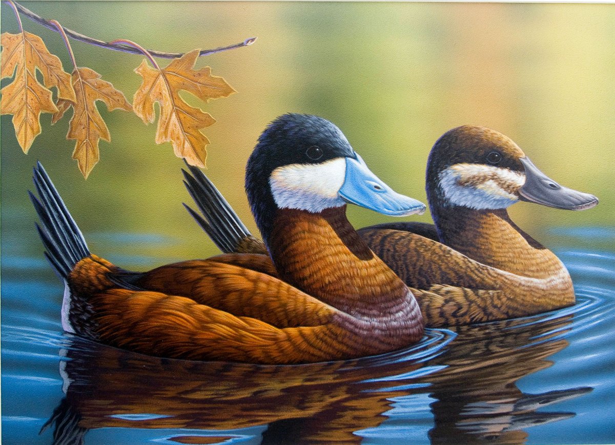 Птицы живопись