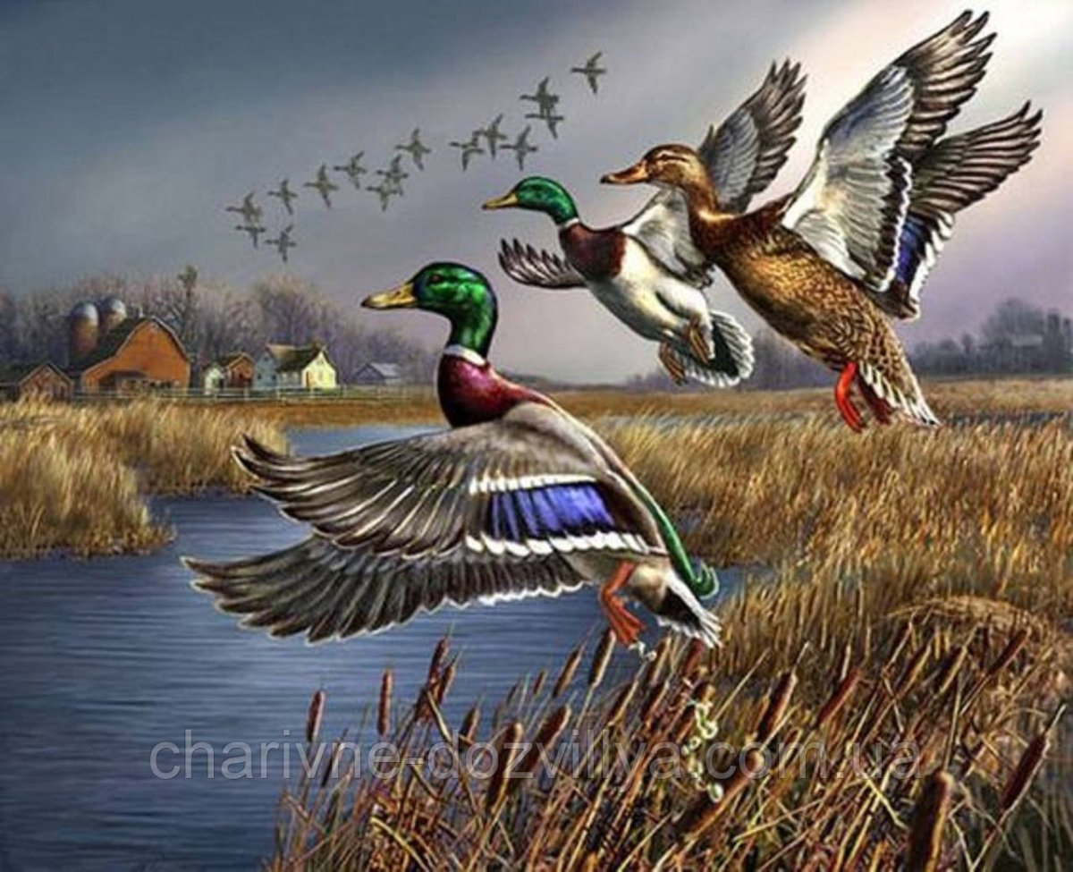 Художник James Meger