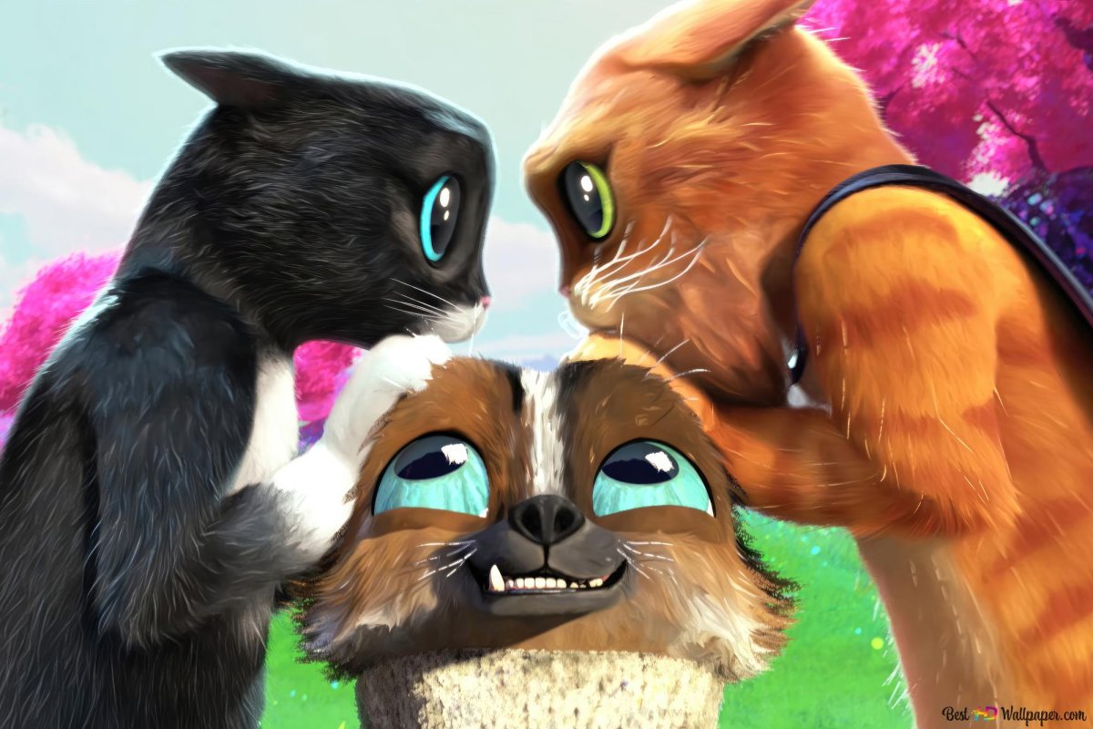 Кот в сапогах 2 последнее желание мультфильм 2022