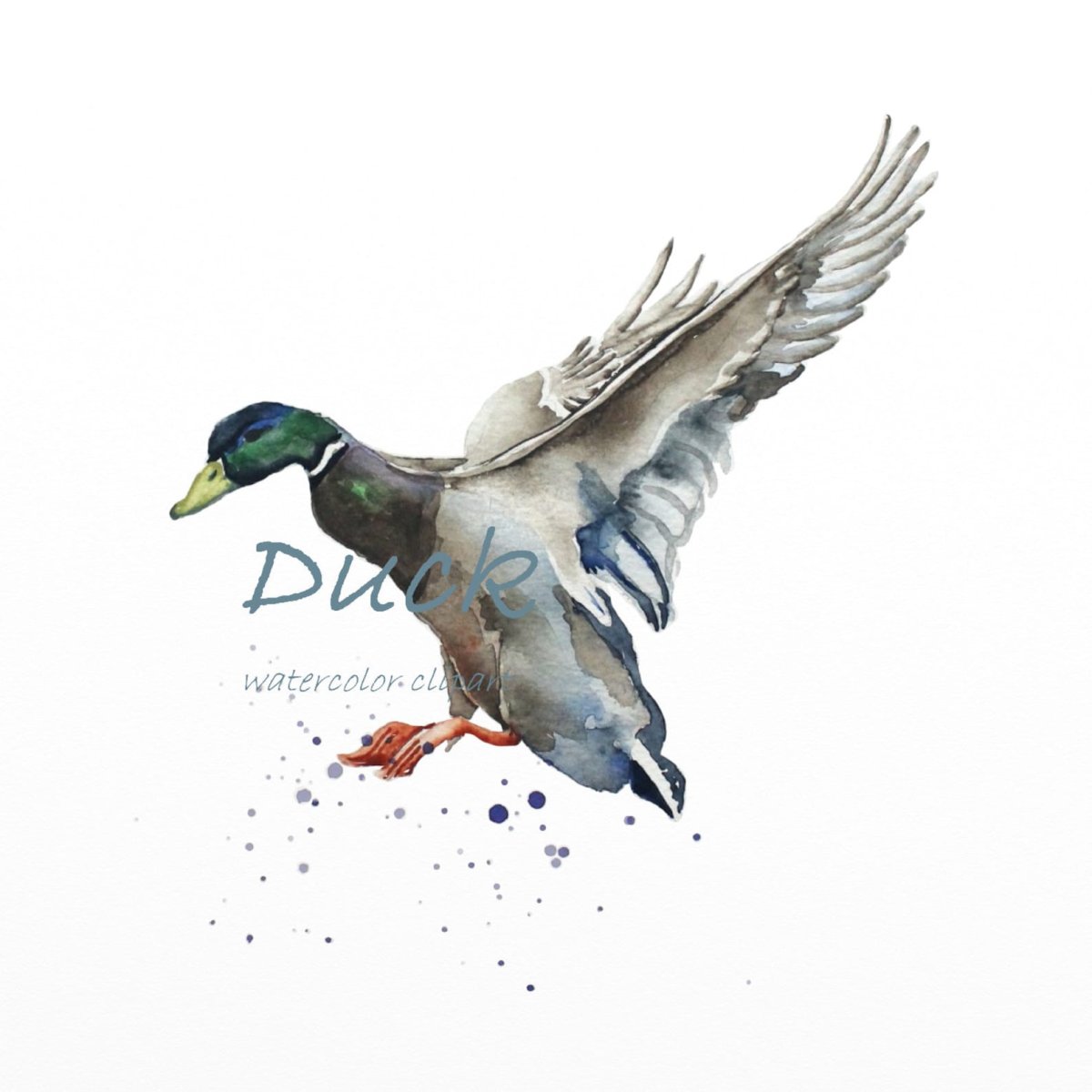 Утки акварелью живопись