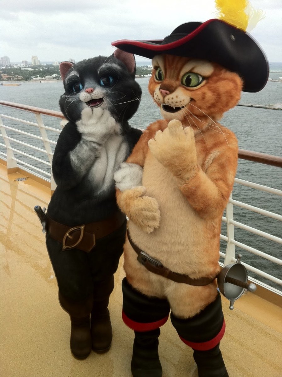 Кот в чапогах и мягко-лапка