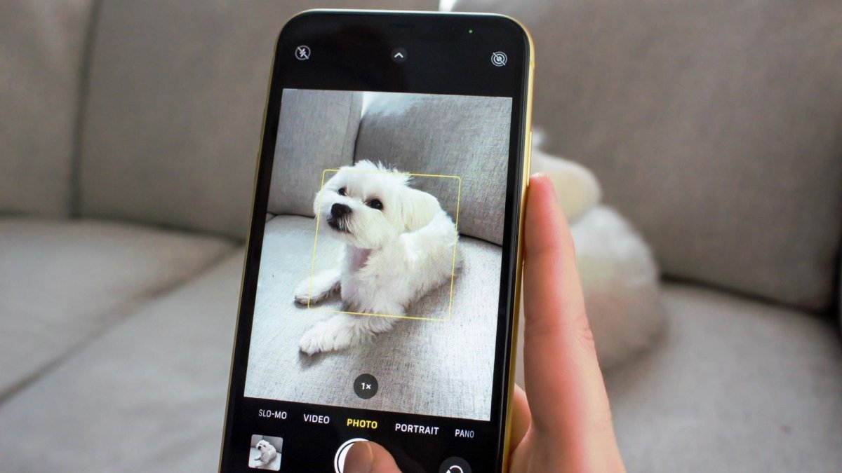 Собачка с айфоном 12