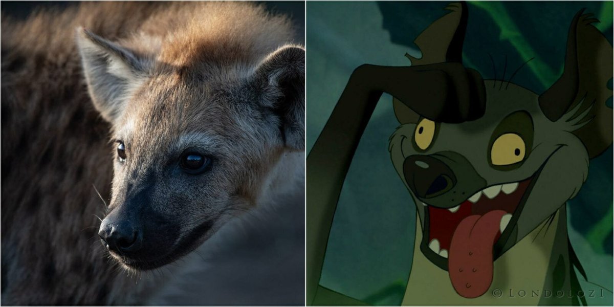 Гиена Эд из короля Льва