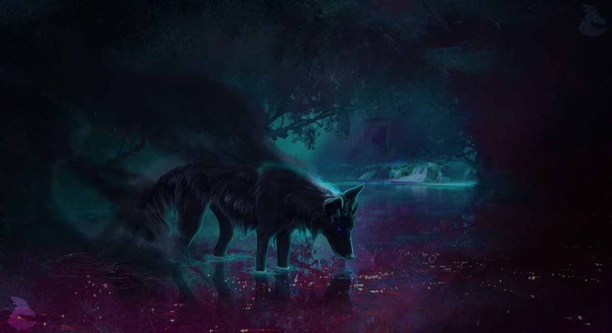 Черный волк арт