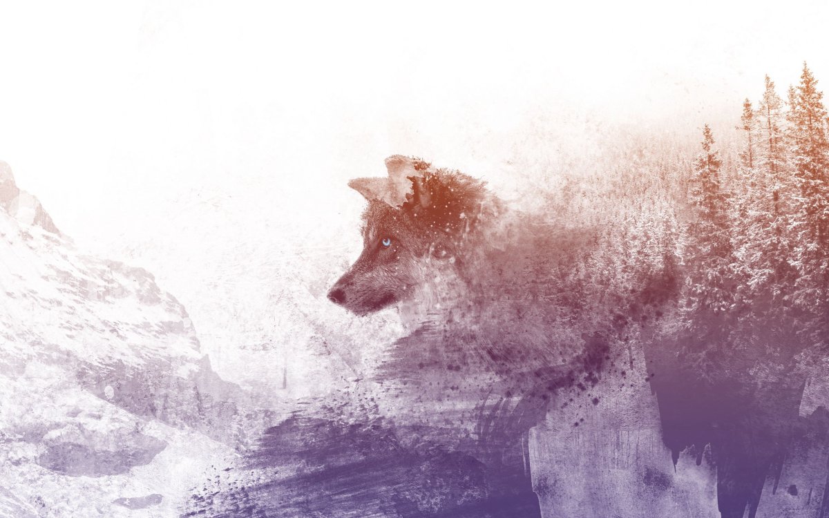 Фон для рабочего стола волк