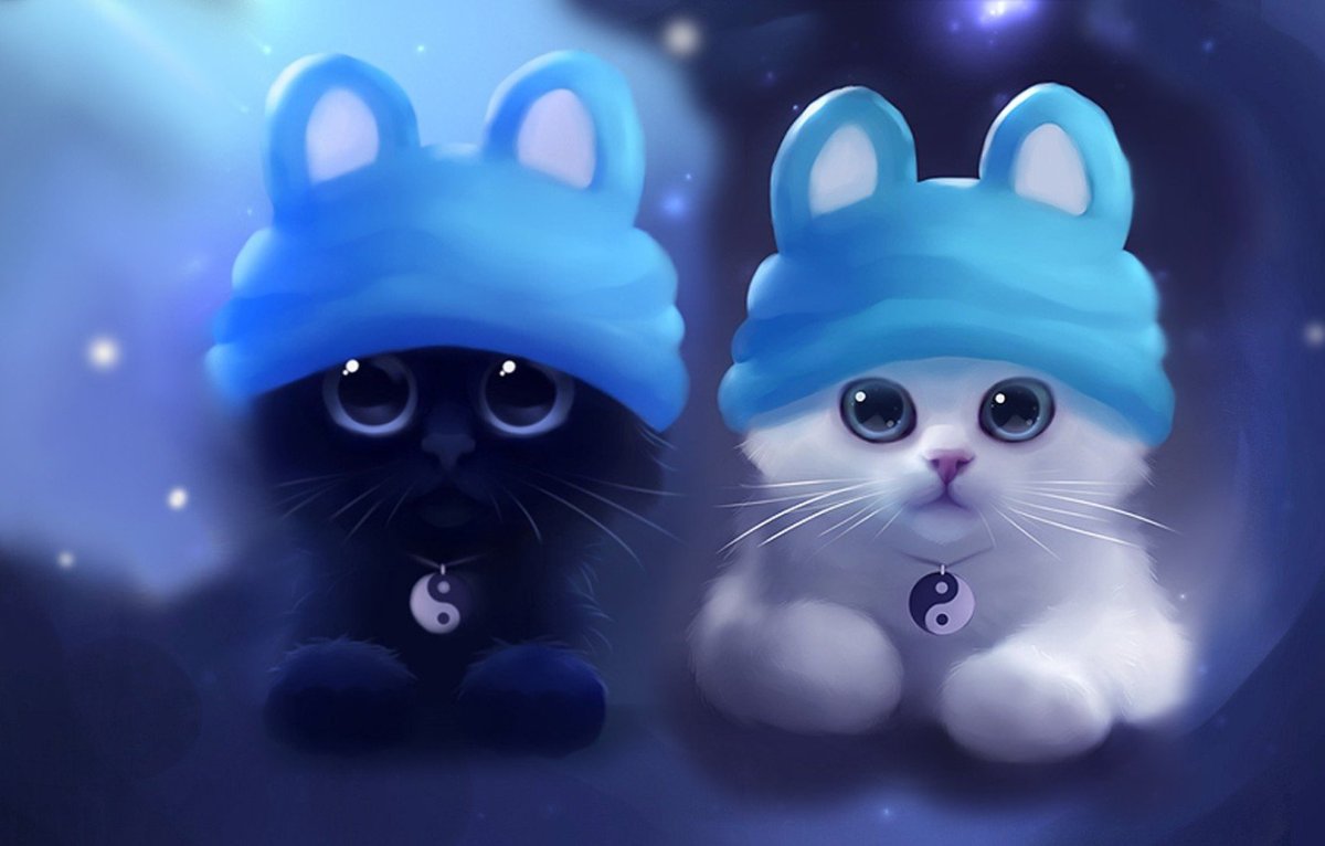 Котик в шапочке арт