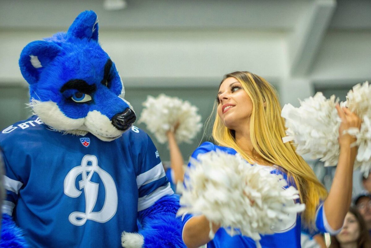 МАКСКОТ ФК Динамо Москва