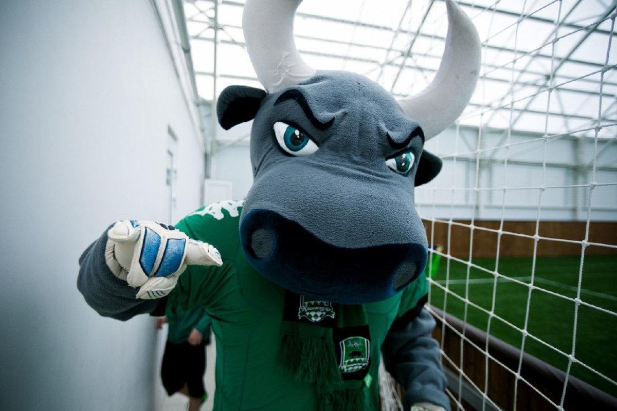 Талисман футбольной команды Краснодар