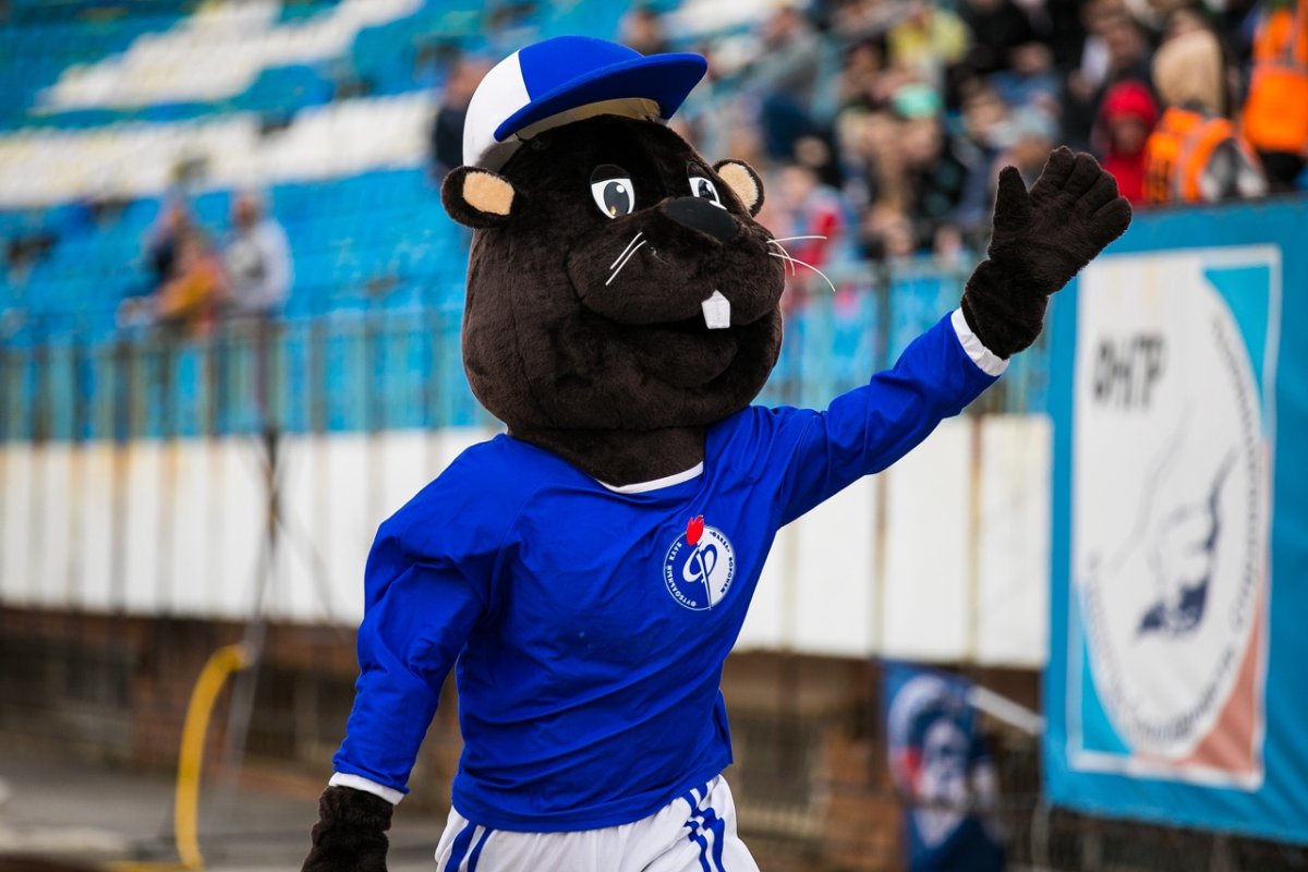 Бобёр Фаворит ФК факел Воронеж