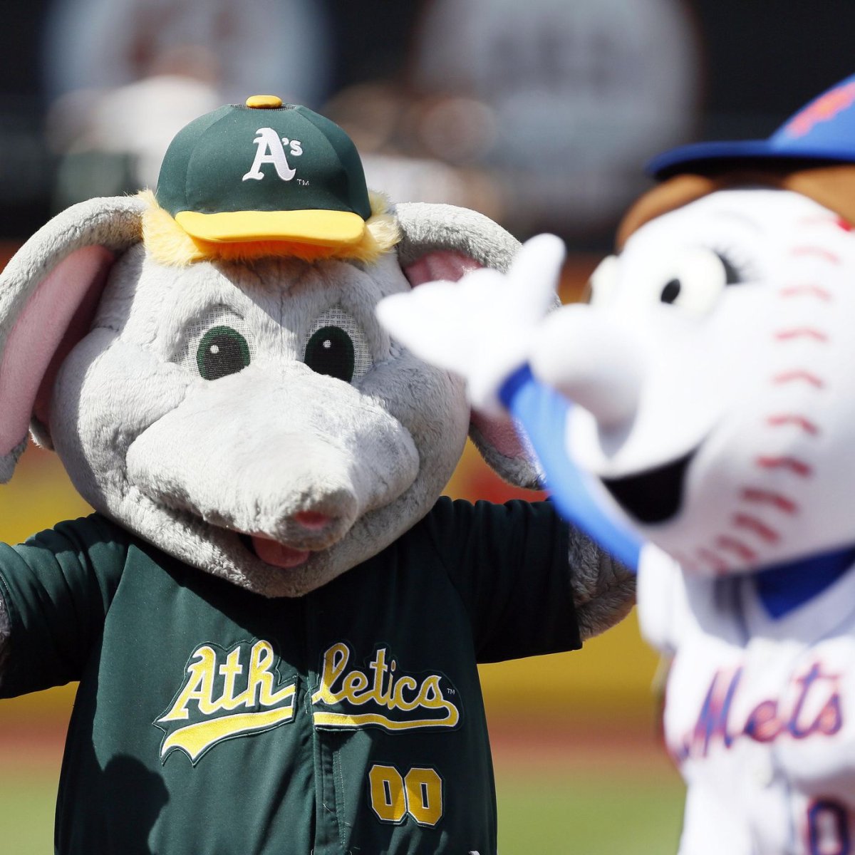 Животное маскот