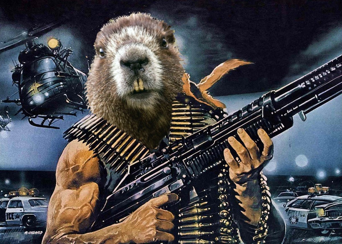 Боевые бобры