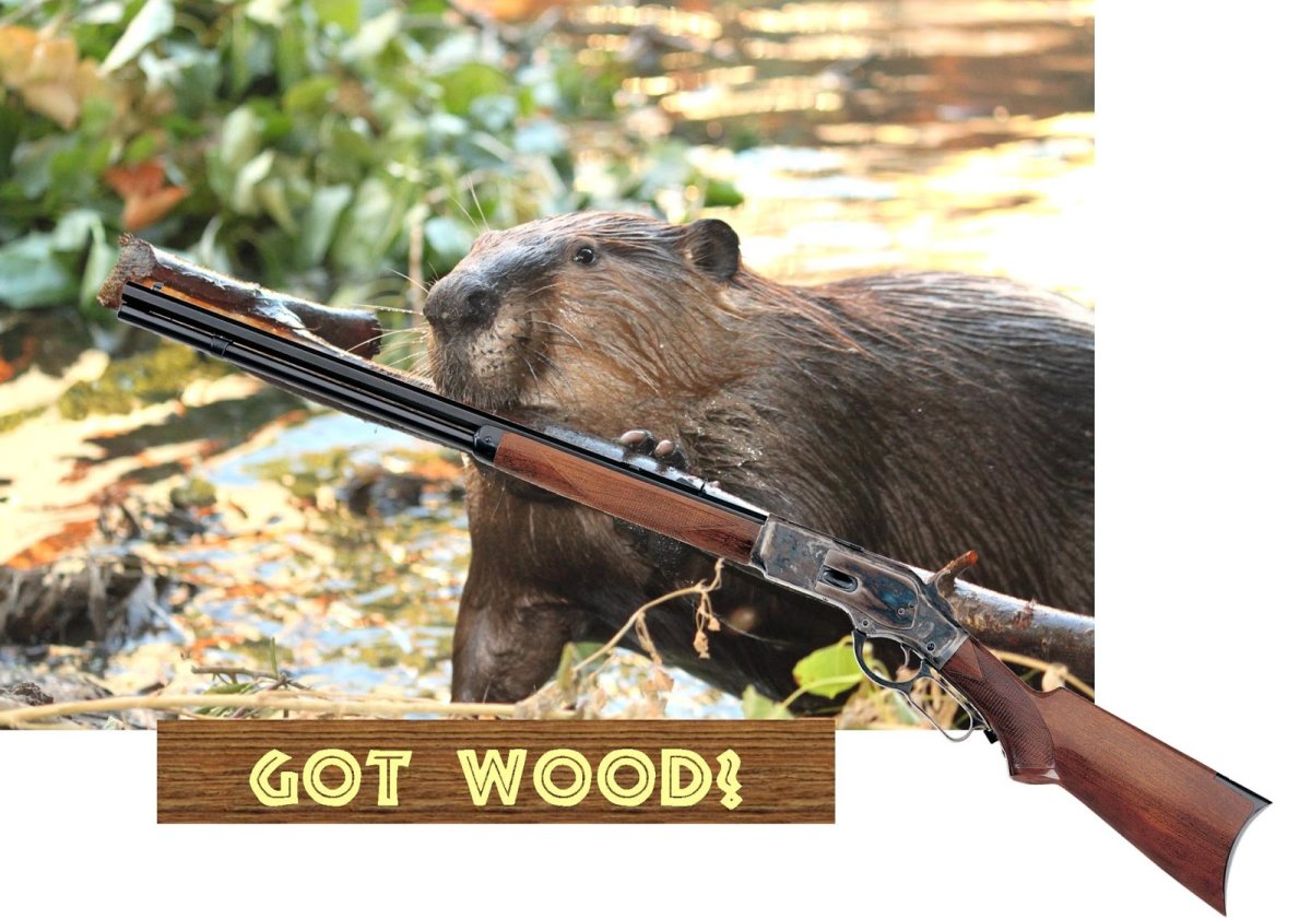 Боевой Бобр