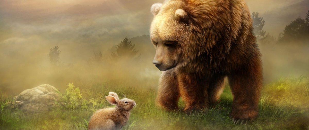 Красивый медведь