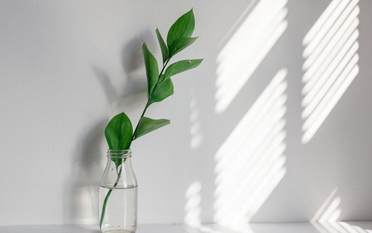 Эстетический Минимализм