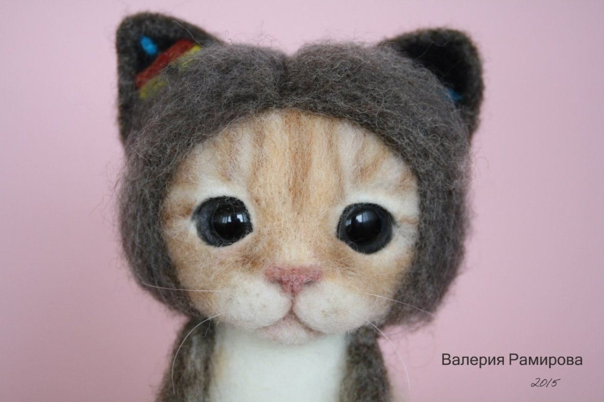Котенок в шапочке