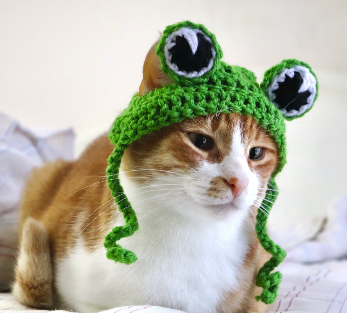 Шапка лягушка для кота из проволоки