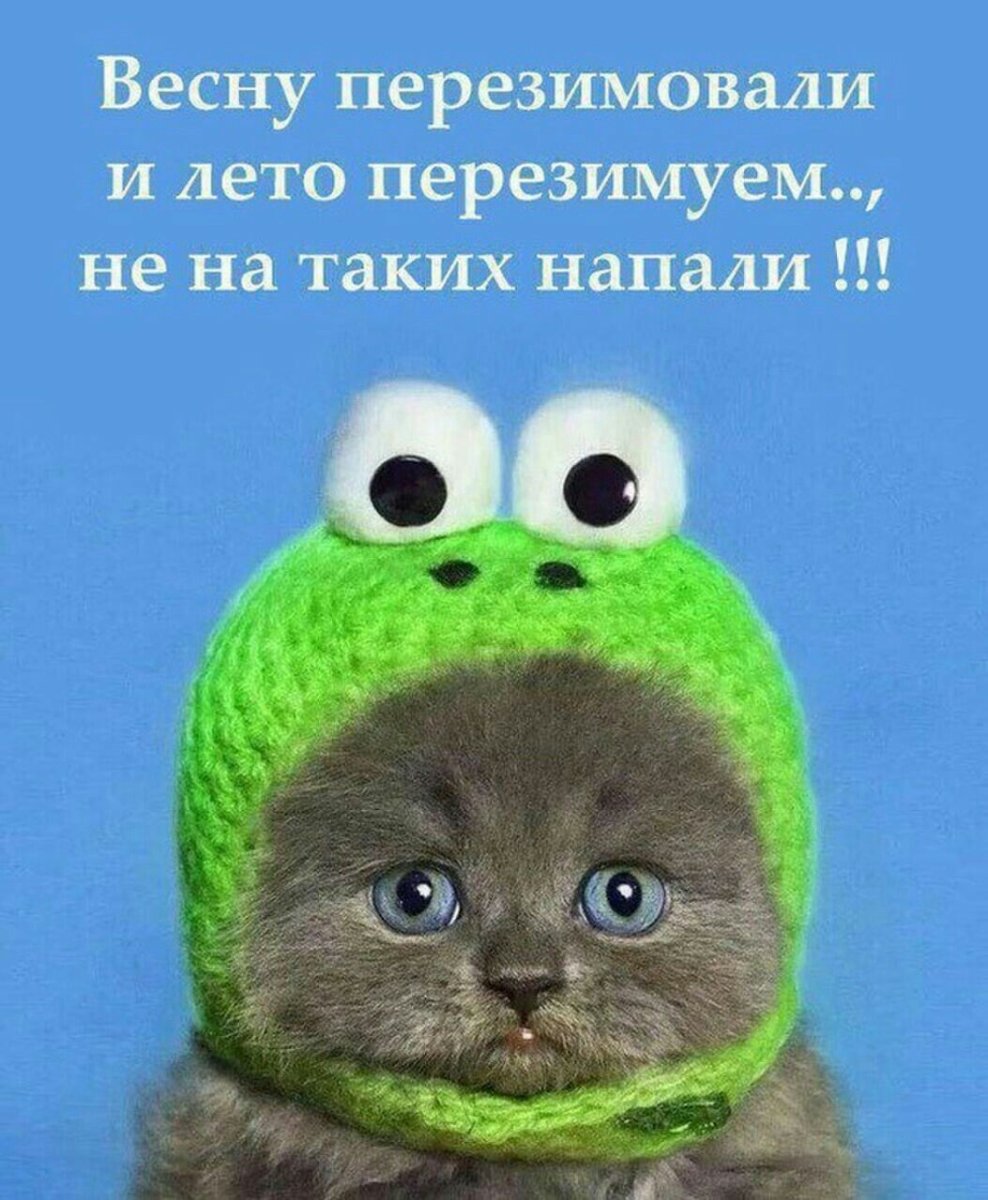 Смешные открытки