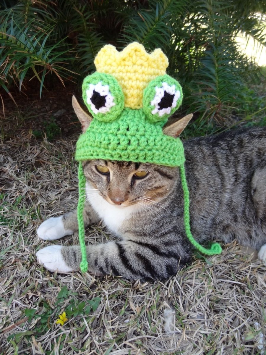 Шапочка кошки