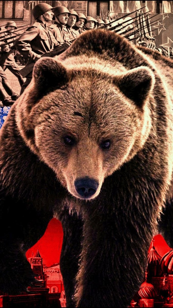 Медведь на фоне российского флага