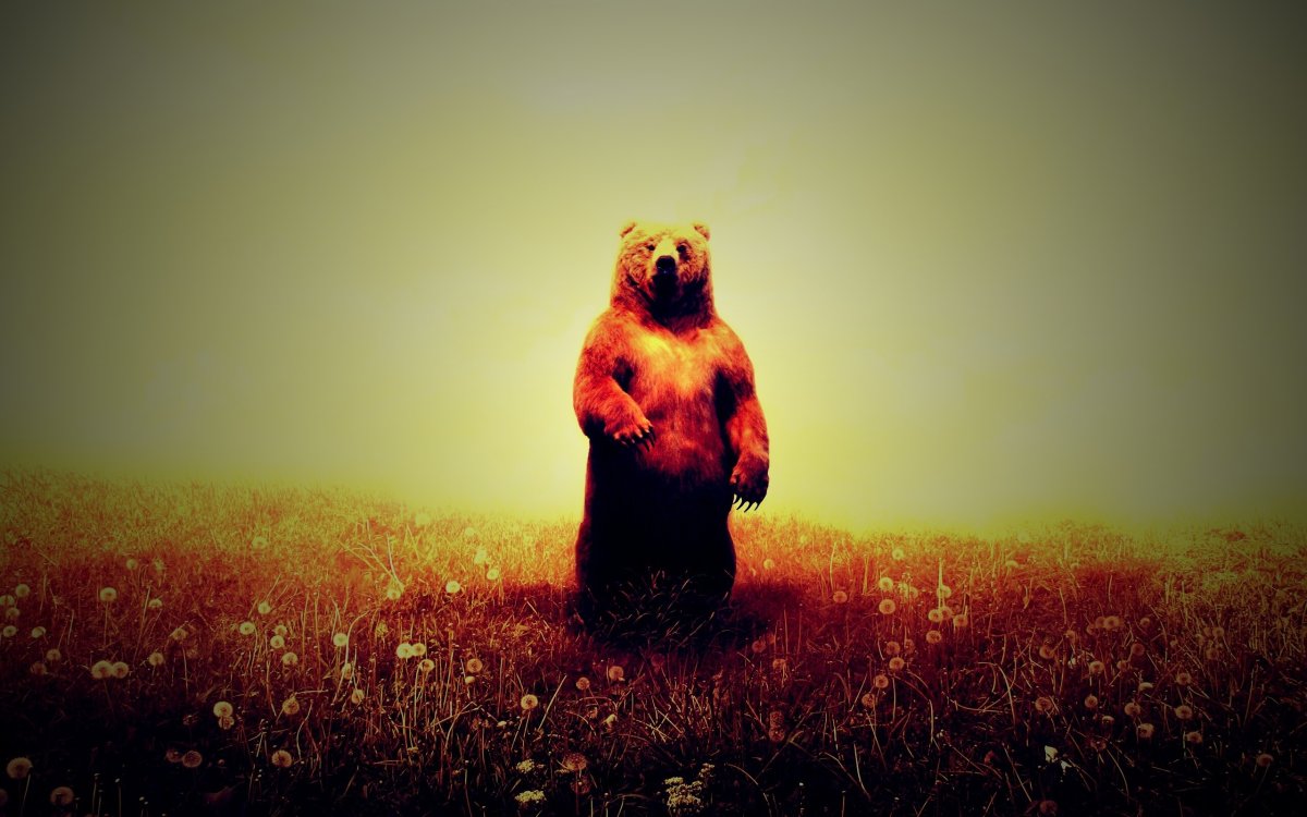 Медведь Гризли