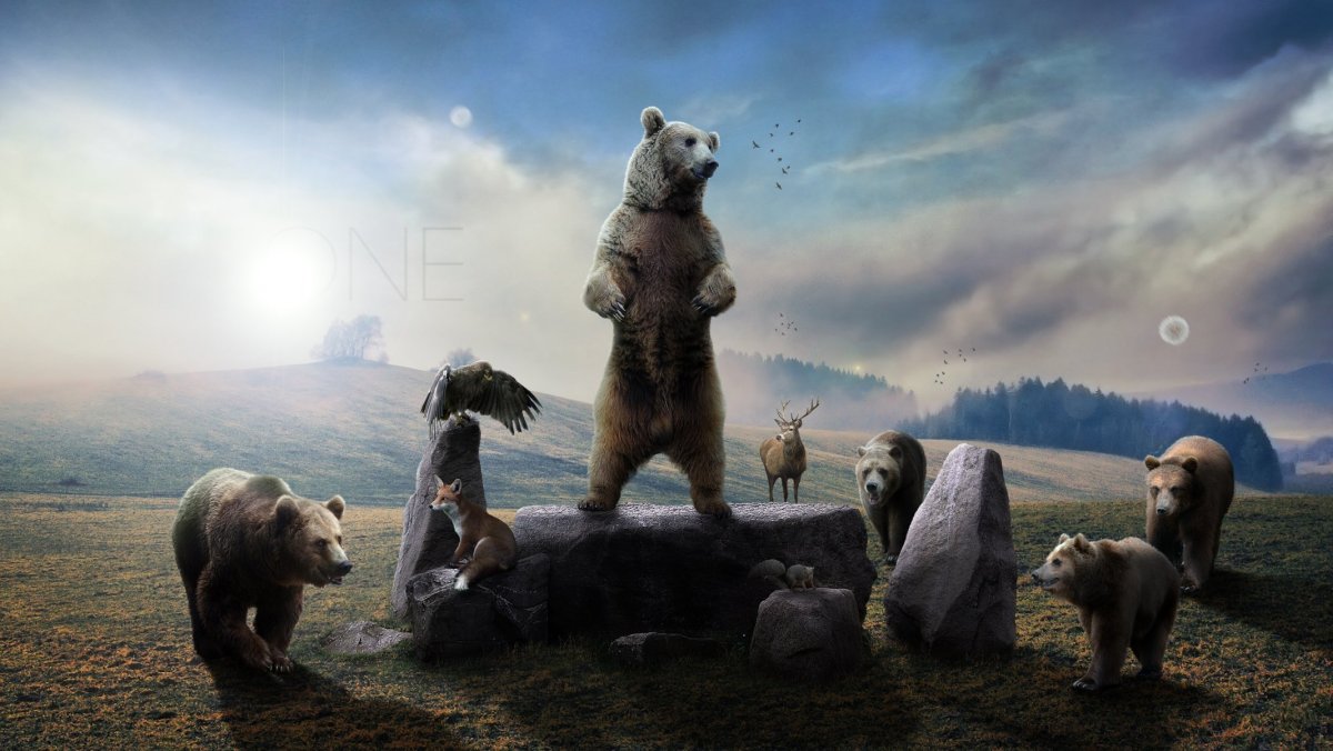 Короткомордый медведь и бурый медведь