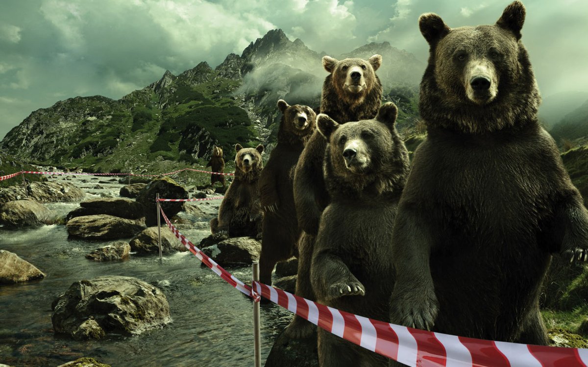 Русский медведь