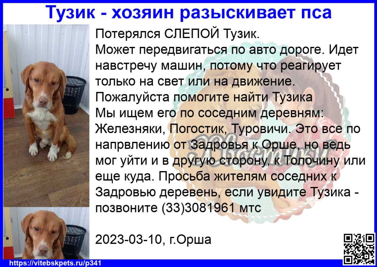 Тузик собака