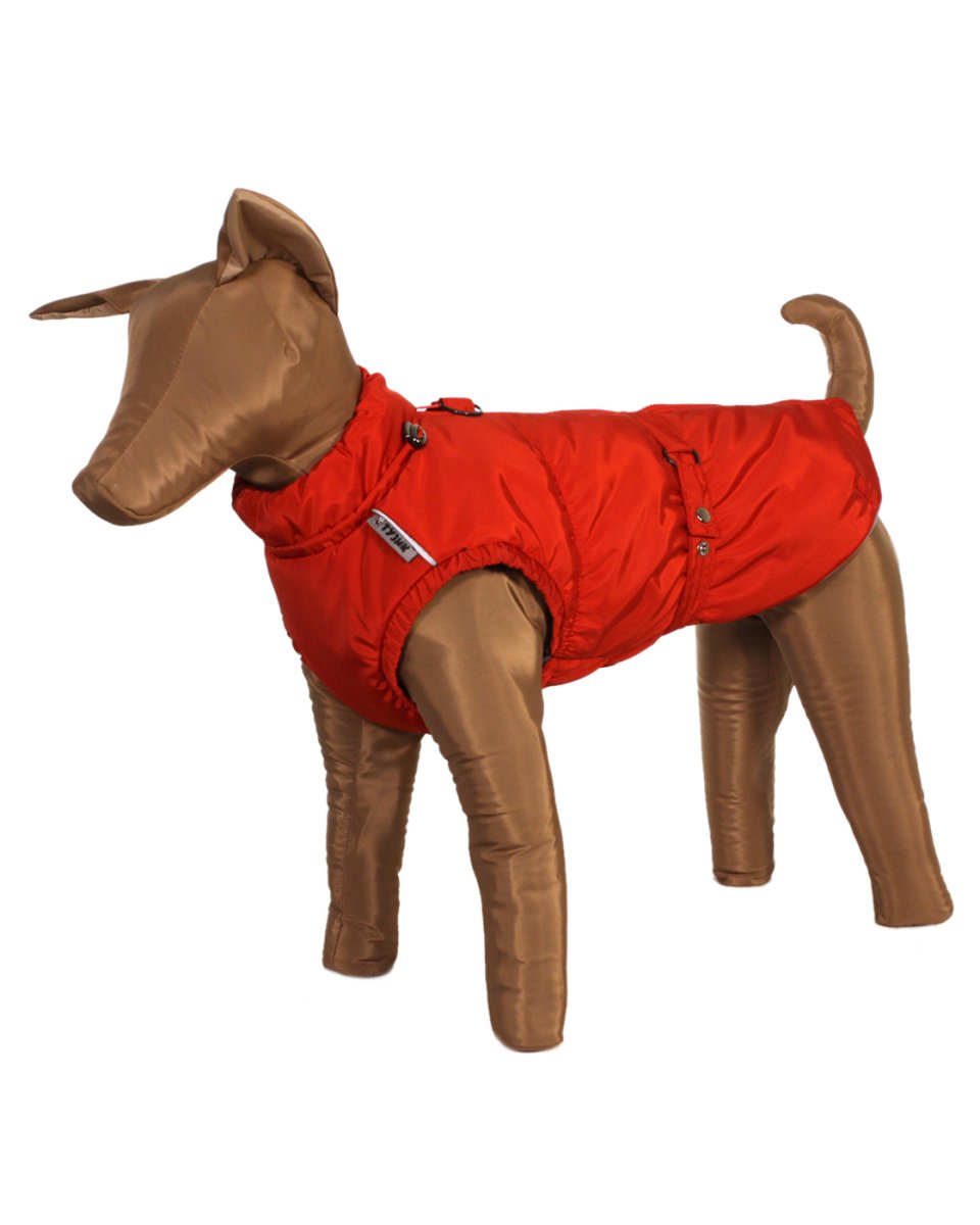 Жилет для собаки Тузик