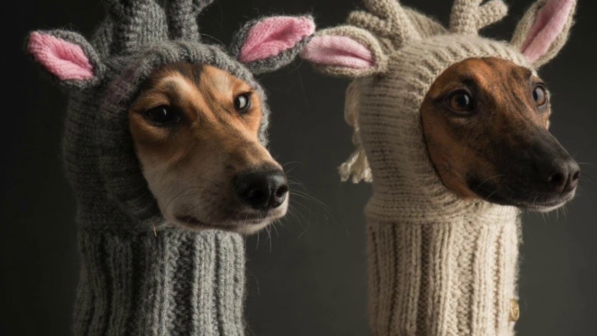 Шапка оленя для собаки