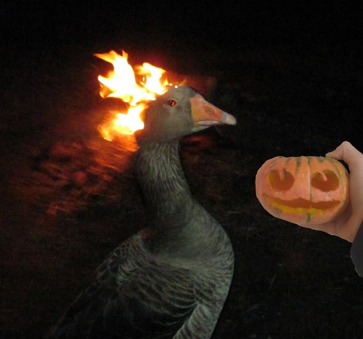 Утка с горящей головой