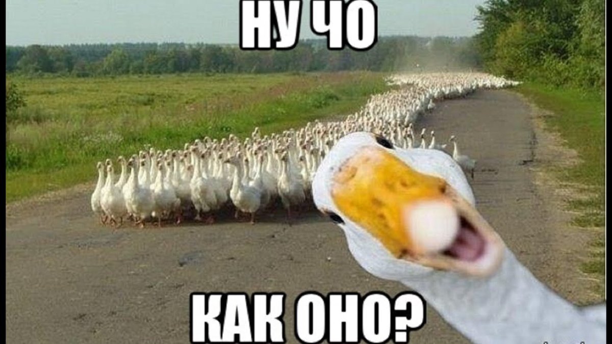 Тогда мы идем к вам