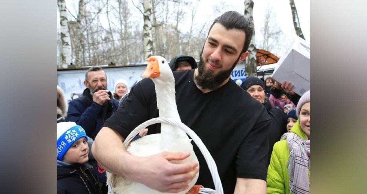 Спасение гуся