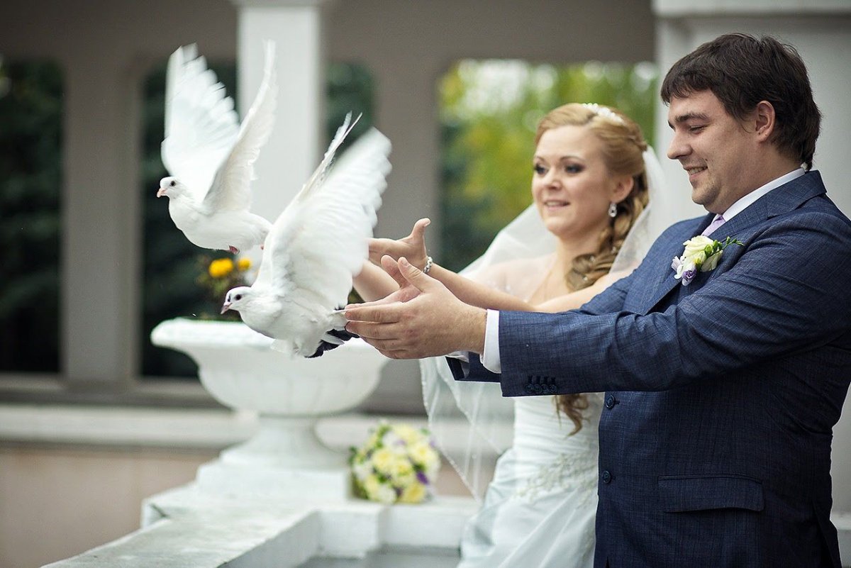 Молодожены и голуби