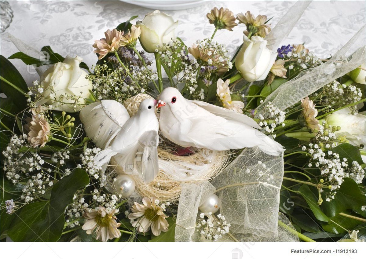 Свадебная композиция с голубями