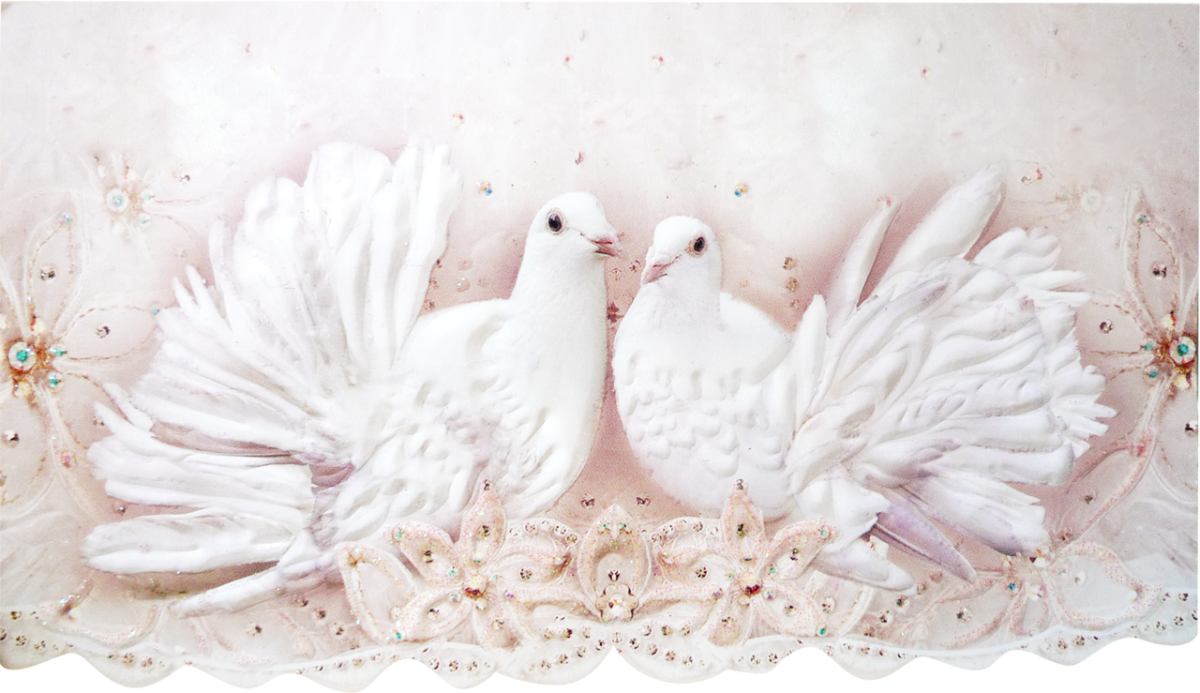 Открытка "голубь"