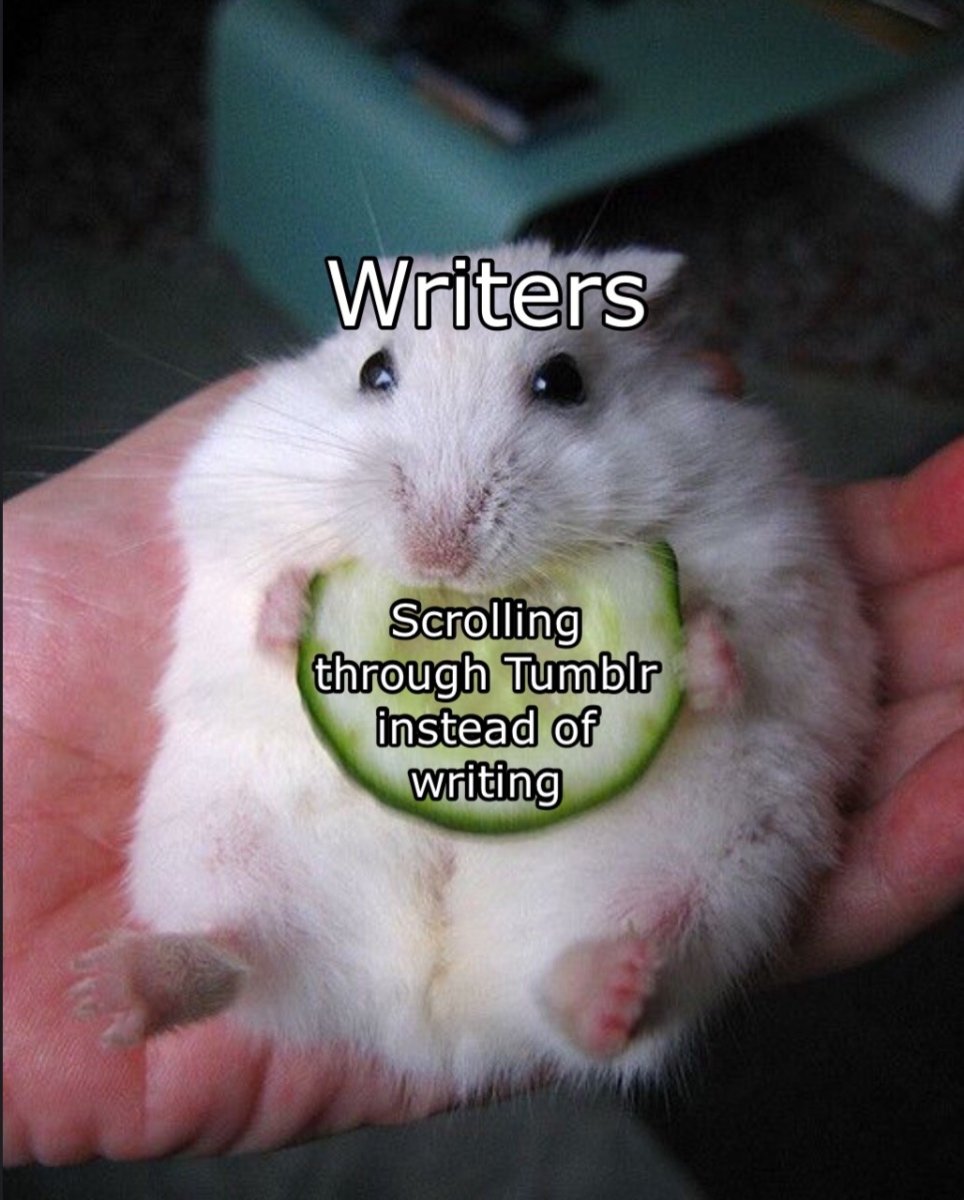 Джунгарский хомяк Хома