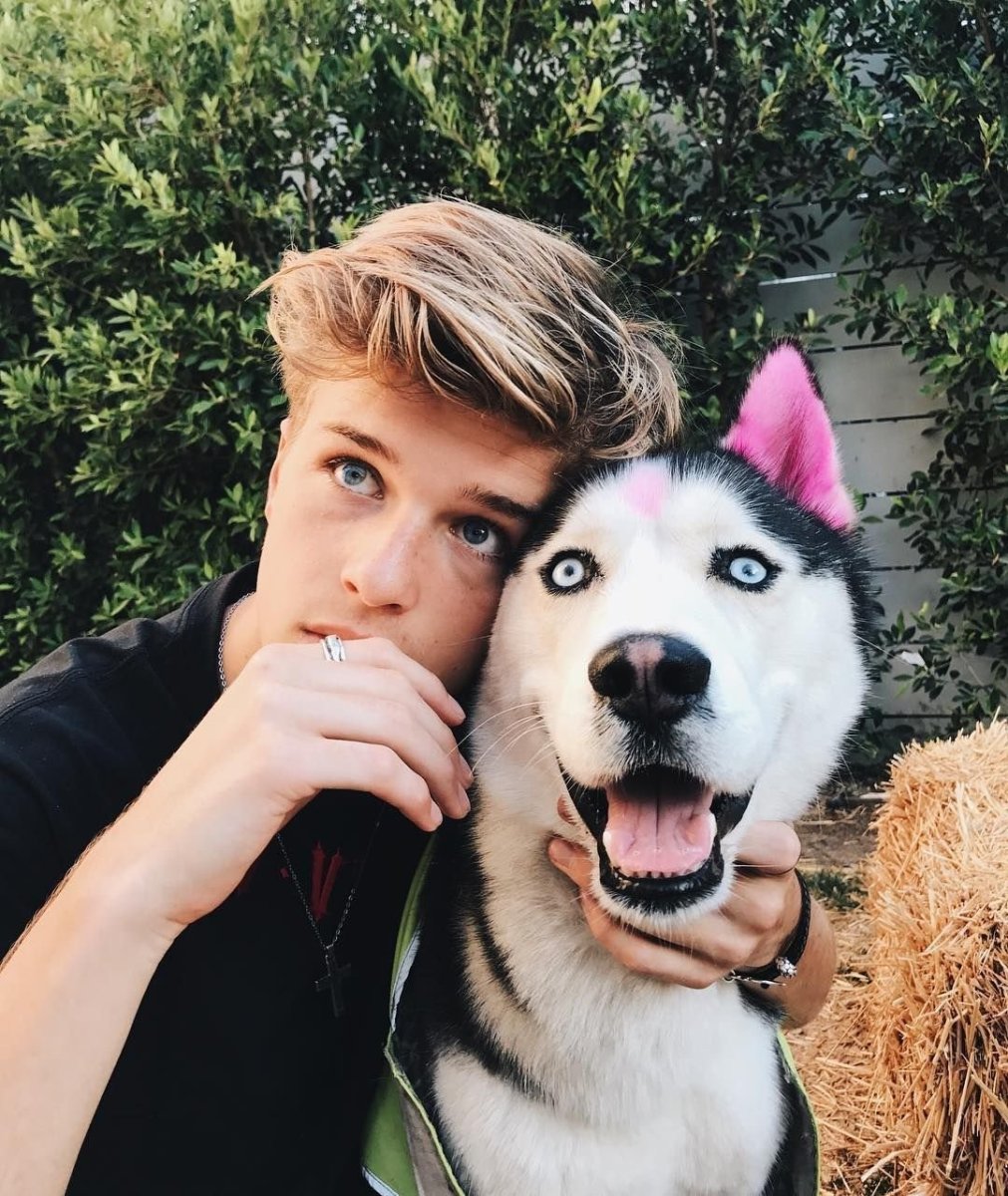 Парень с хаски