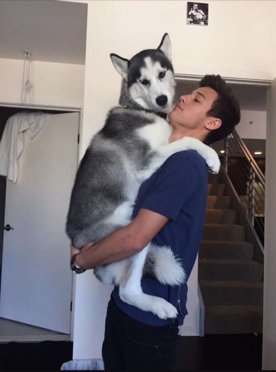 Парень с хаски