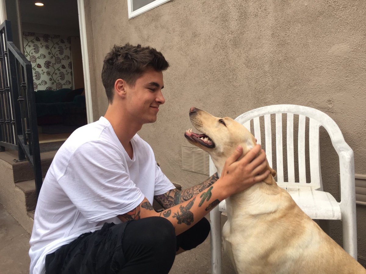 Парень песик