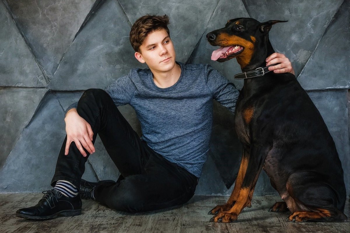 Доберман модельное агентство