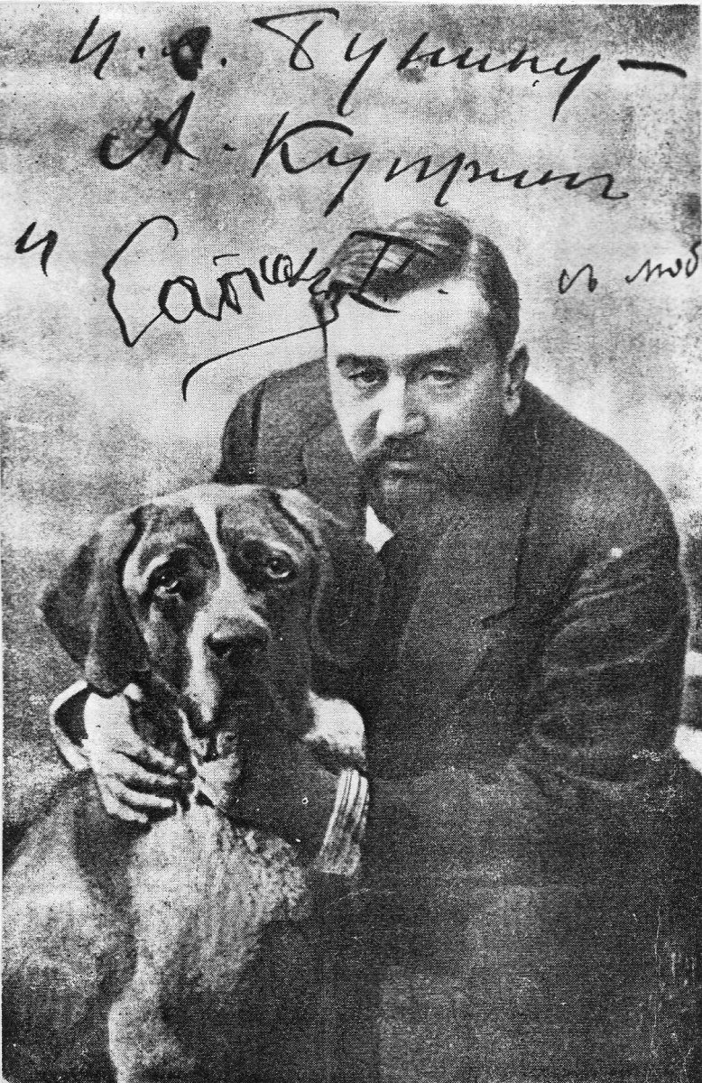 Меделян Куприна