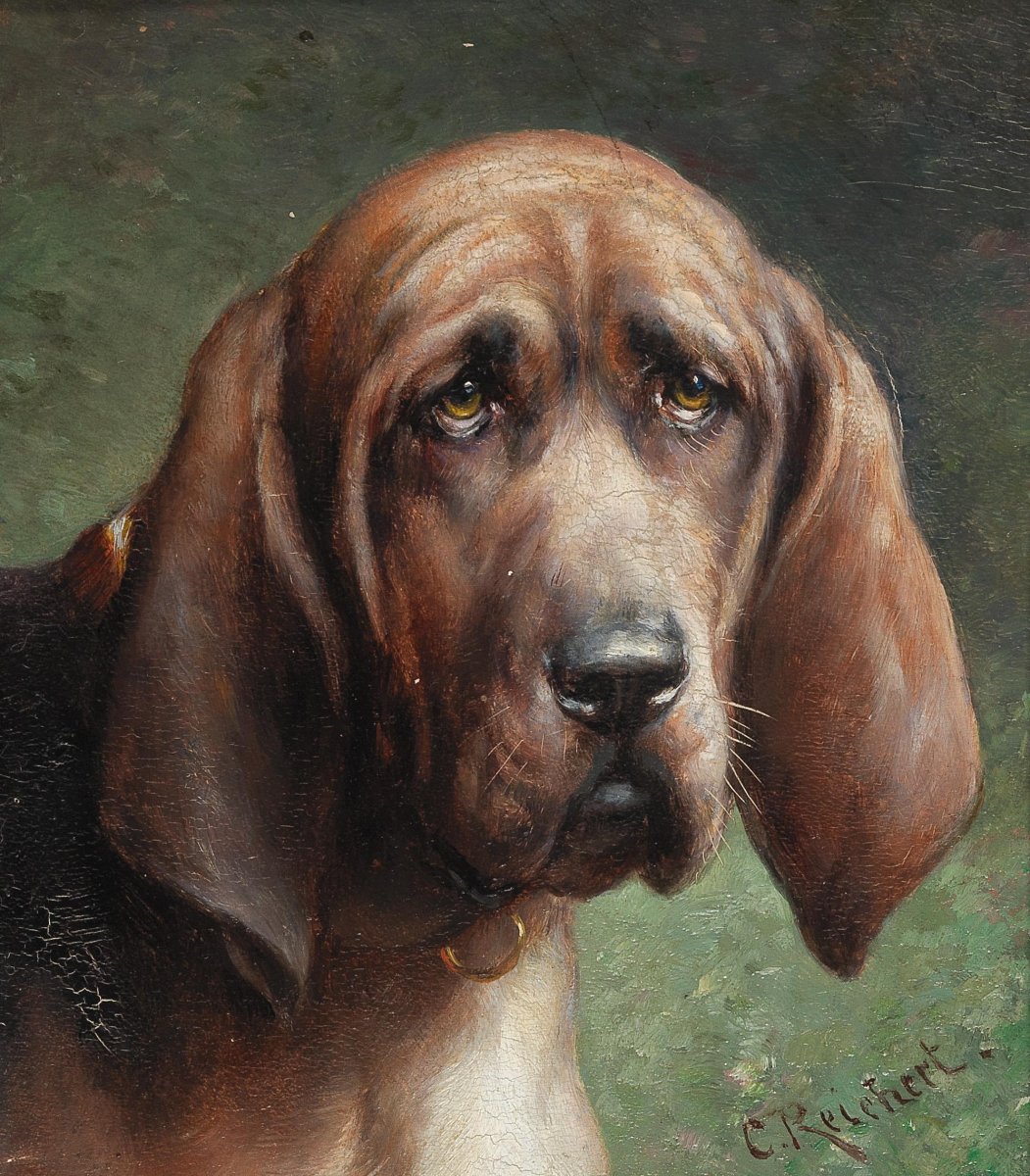 Карл Райхерт (1836-1918) таксы