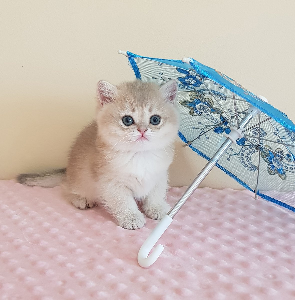 Экзот в костюме