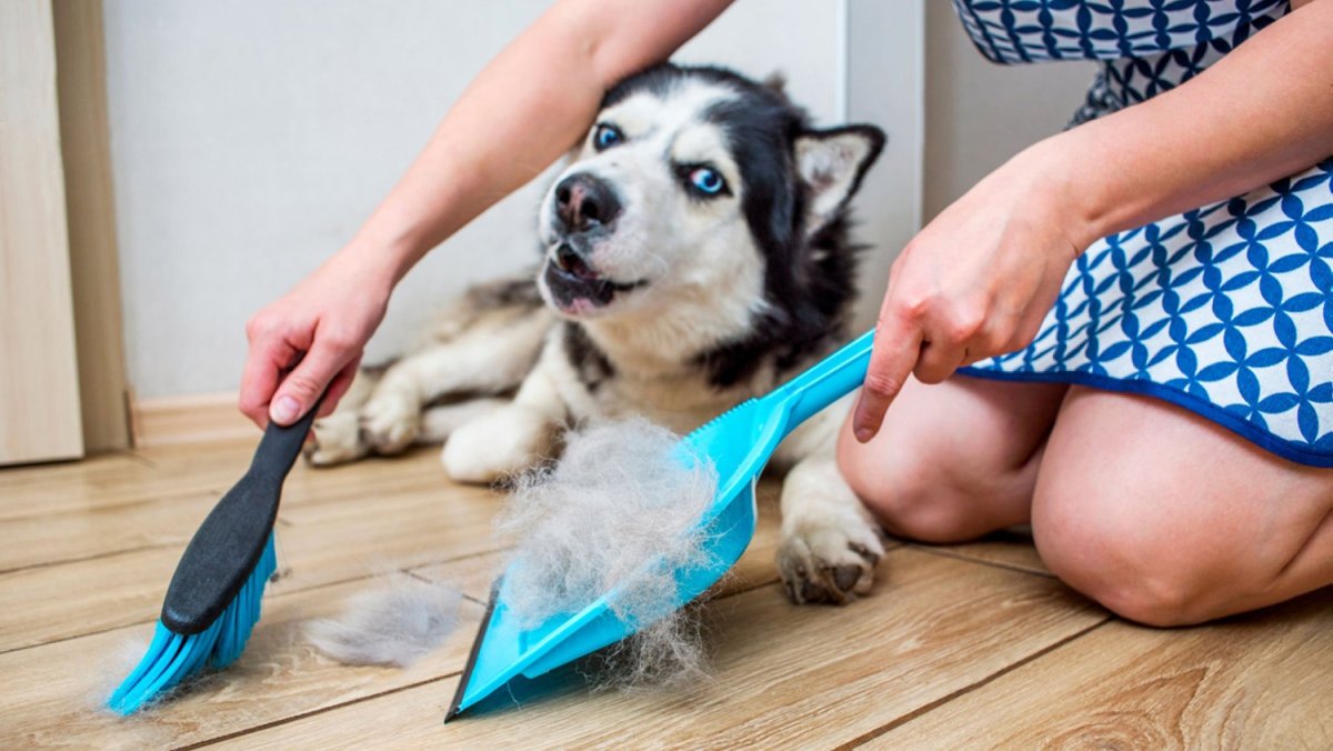 Уборка за животными