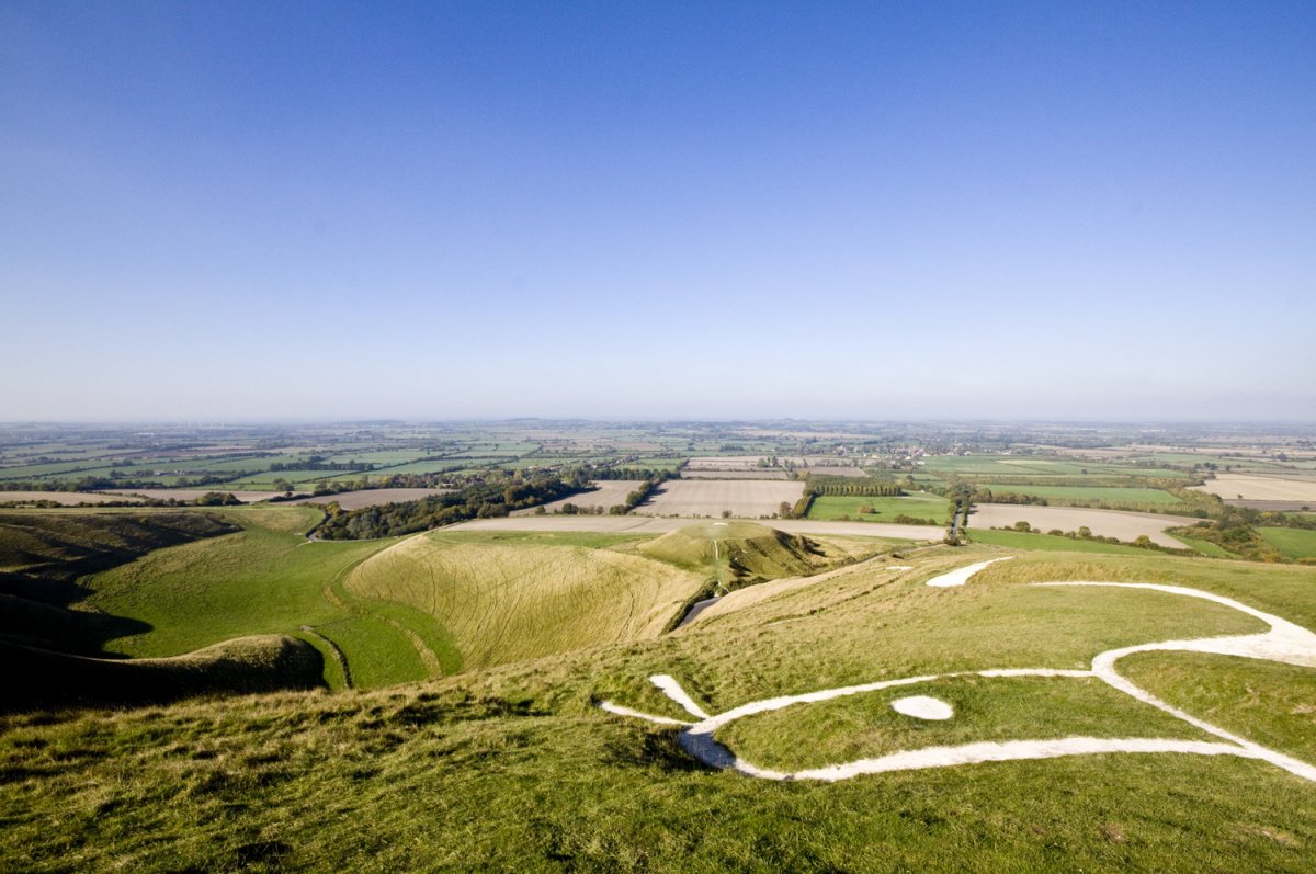 Уффингтонская белая лошадь в Англии