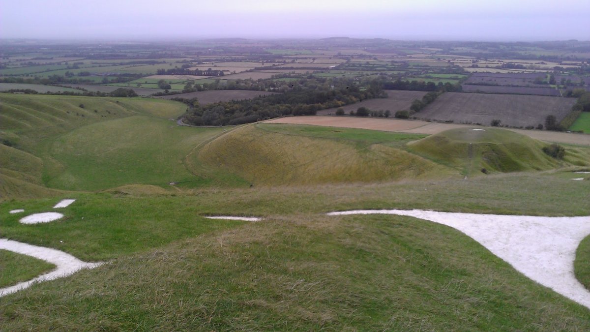 Уффингтонская белая лошадь Форза