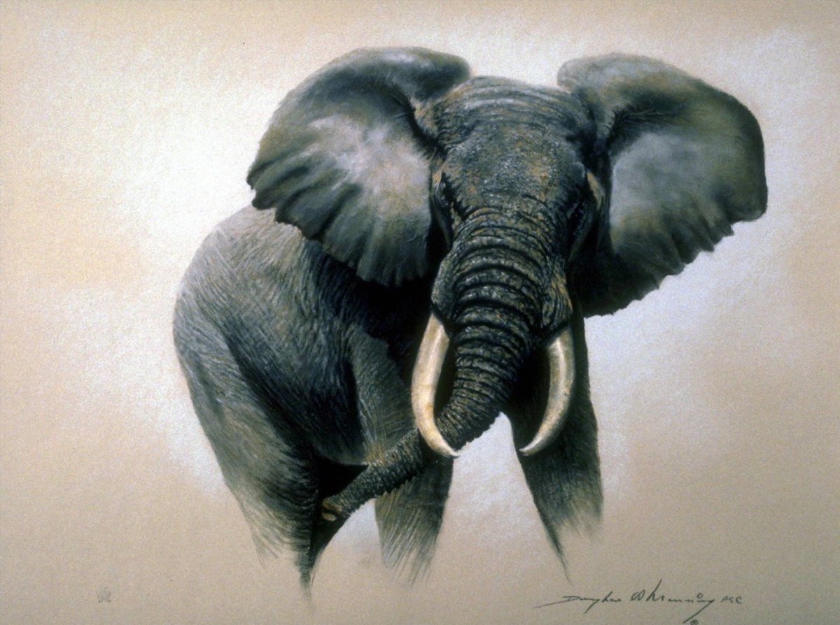 Картина слон