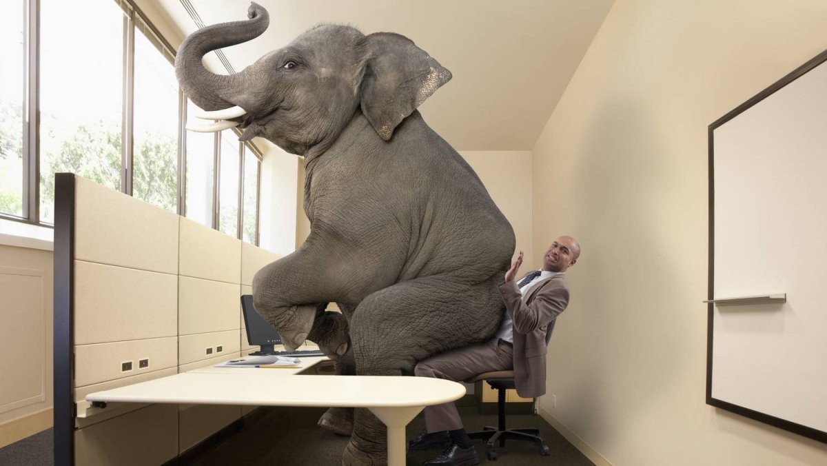 Слоны сидят